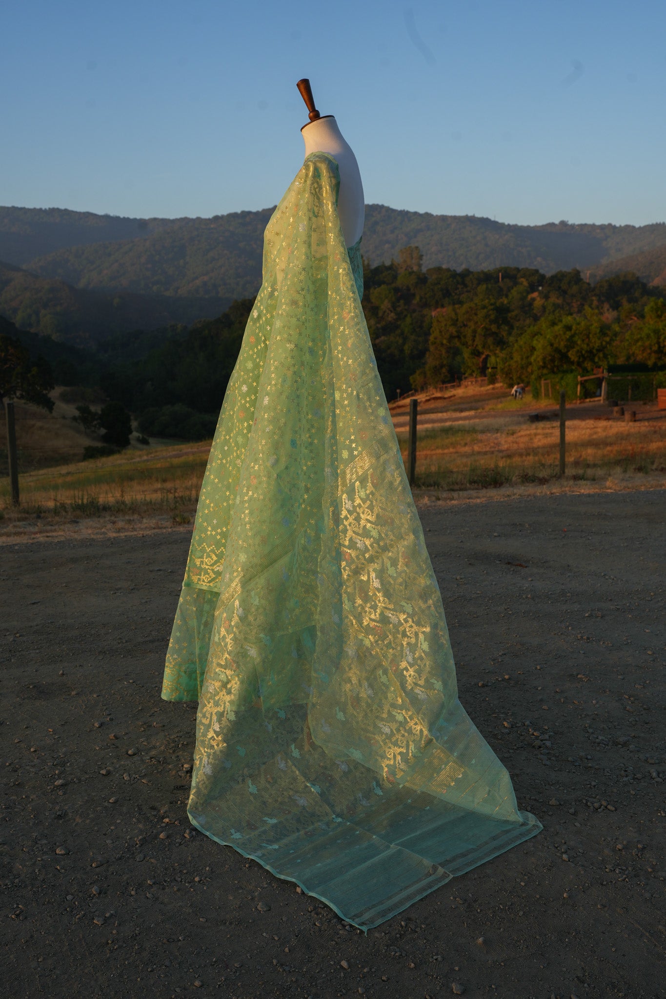 Capri Jamdani saree