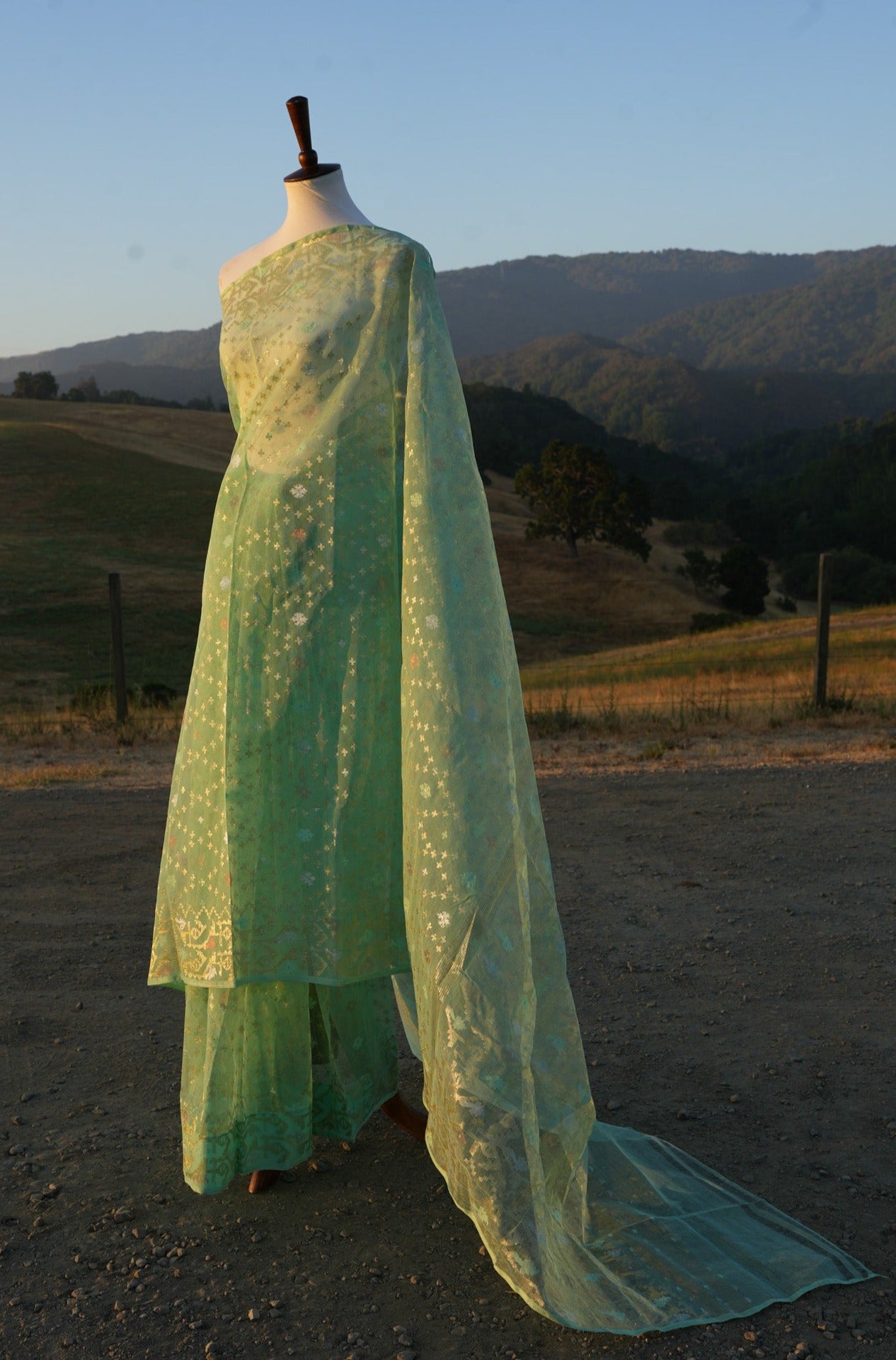 Capri Jamdani saree