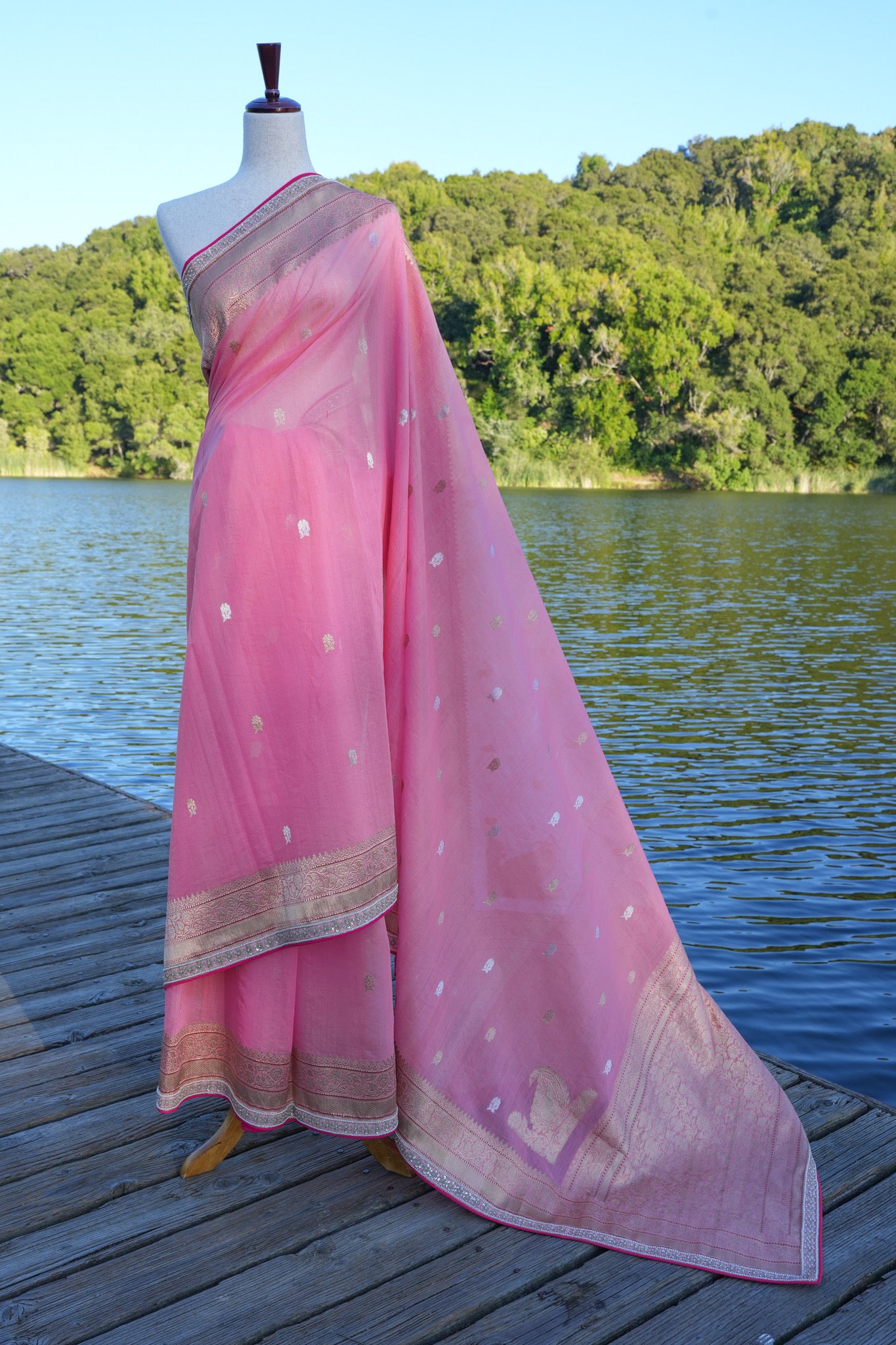 Starburst Benarasi Sari
