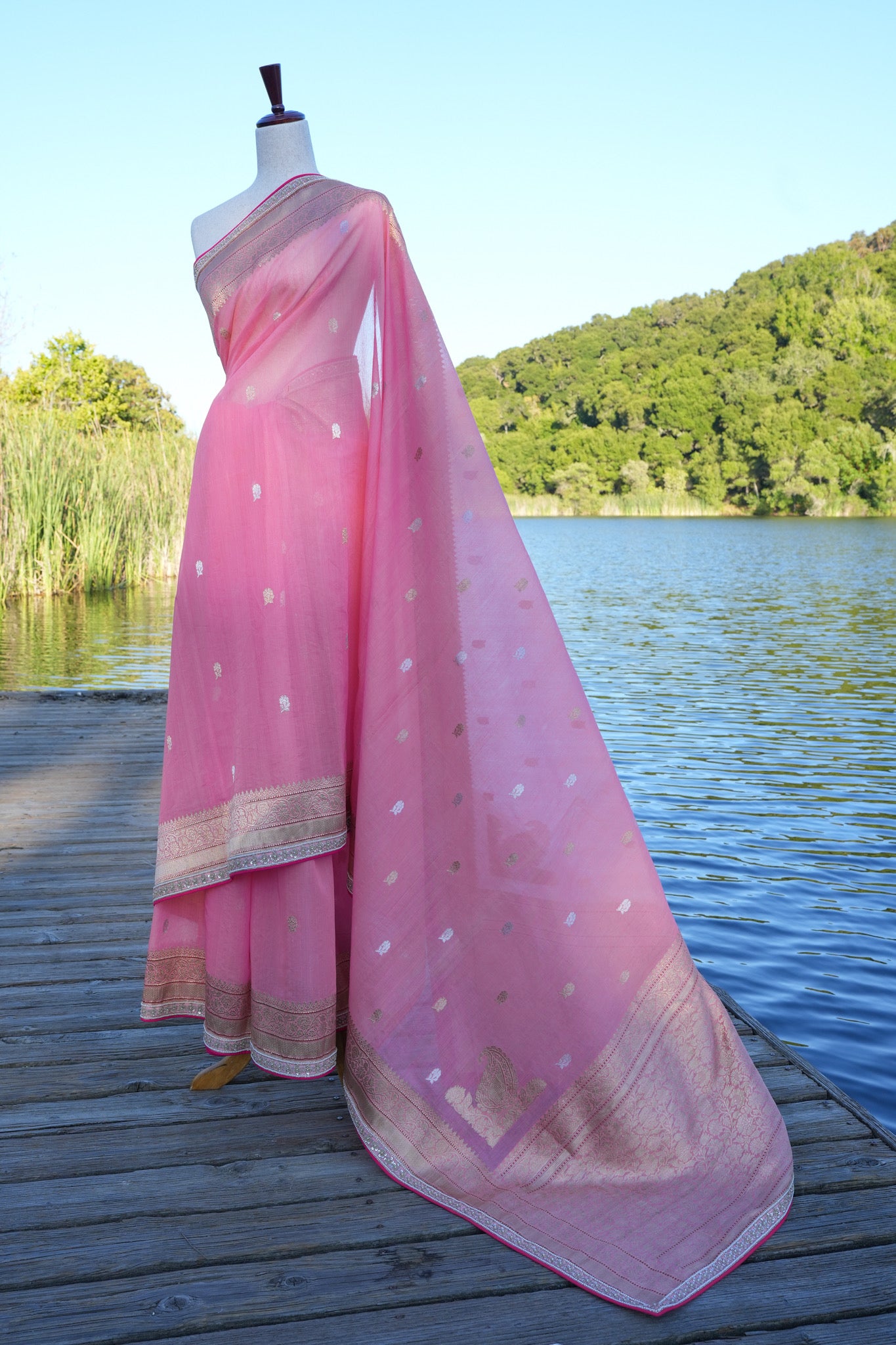 Starburst Benarasi Sari