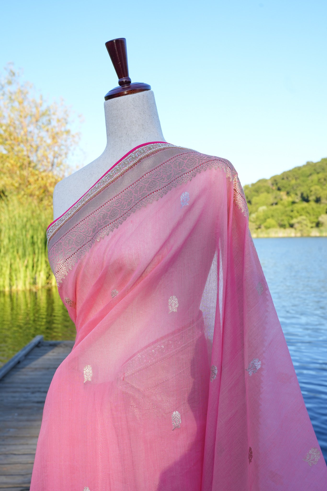 Starburst Benarasi Sari