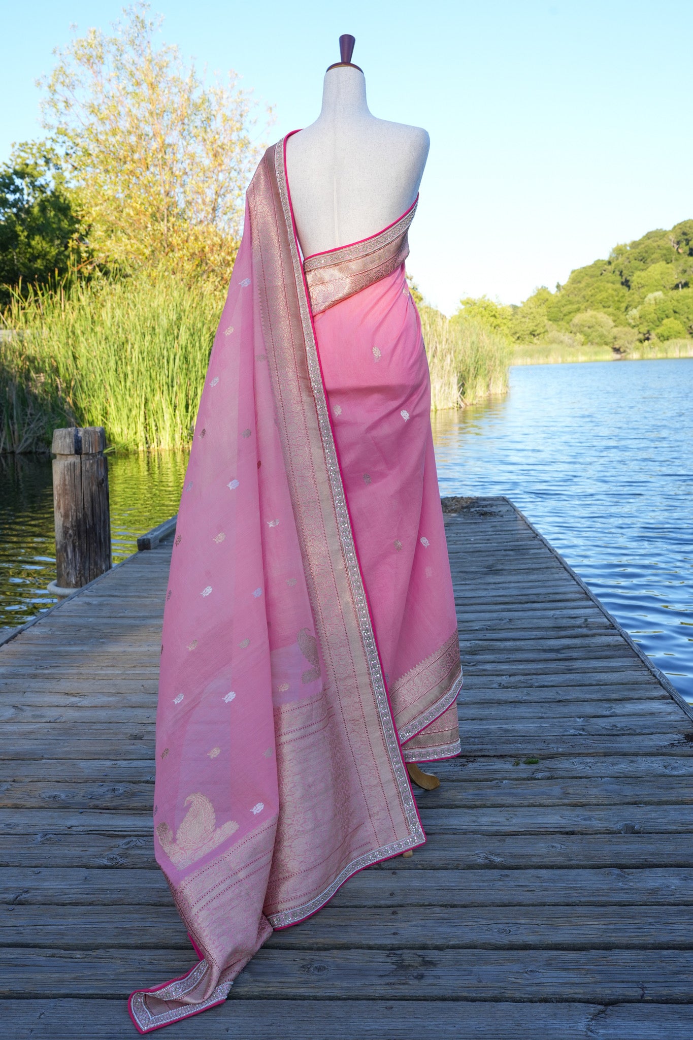 Starburst Benarasi Sari