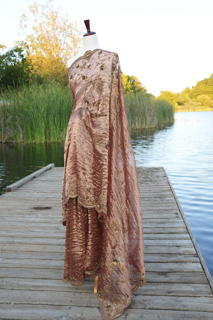 Rani of the Lake Tissue Benarasi Saree