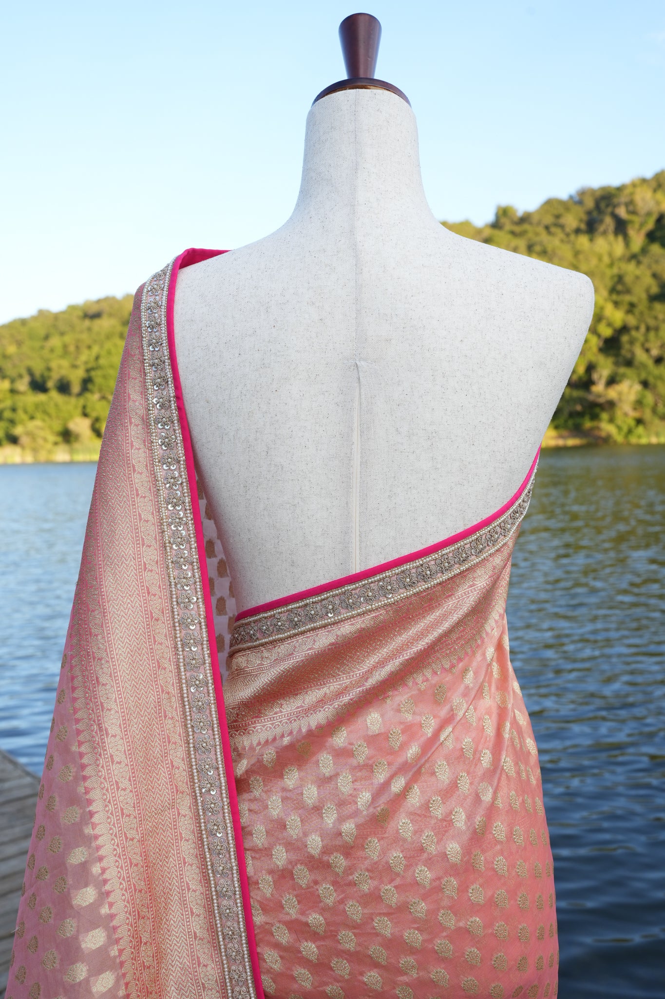 Benarasi Tissue Organza Saree with Hand Embroidered Border