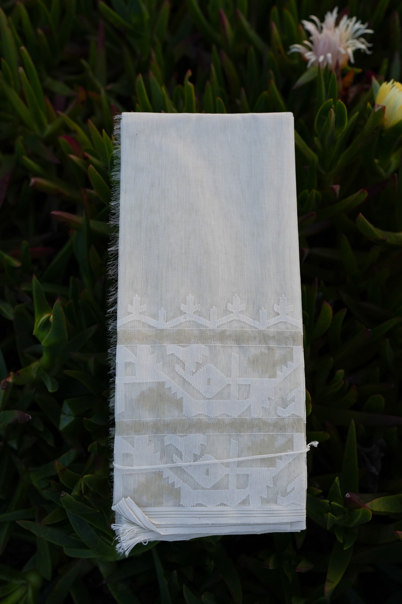 Sunlight on a Frothy Ocean Jamdani Saree