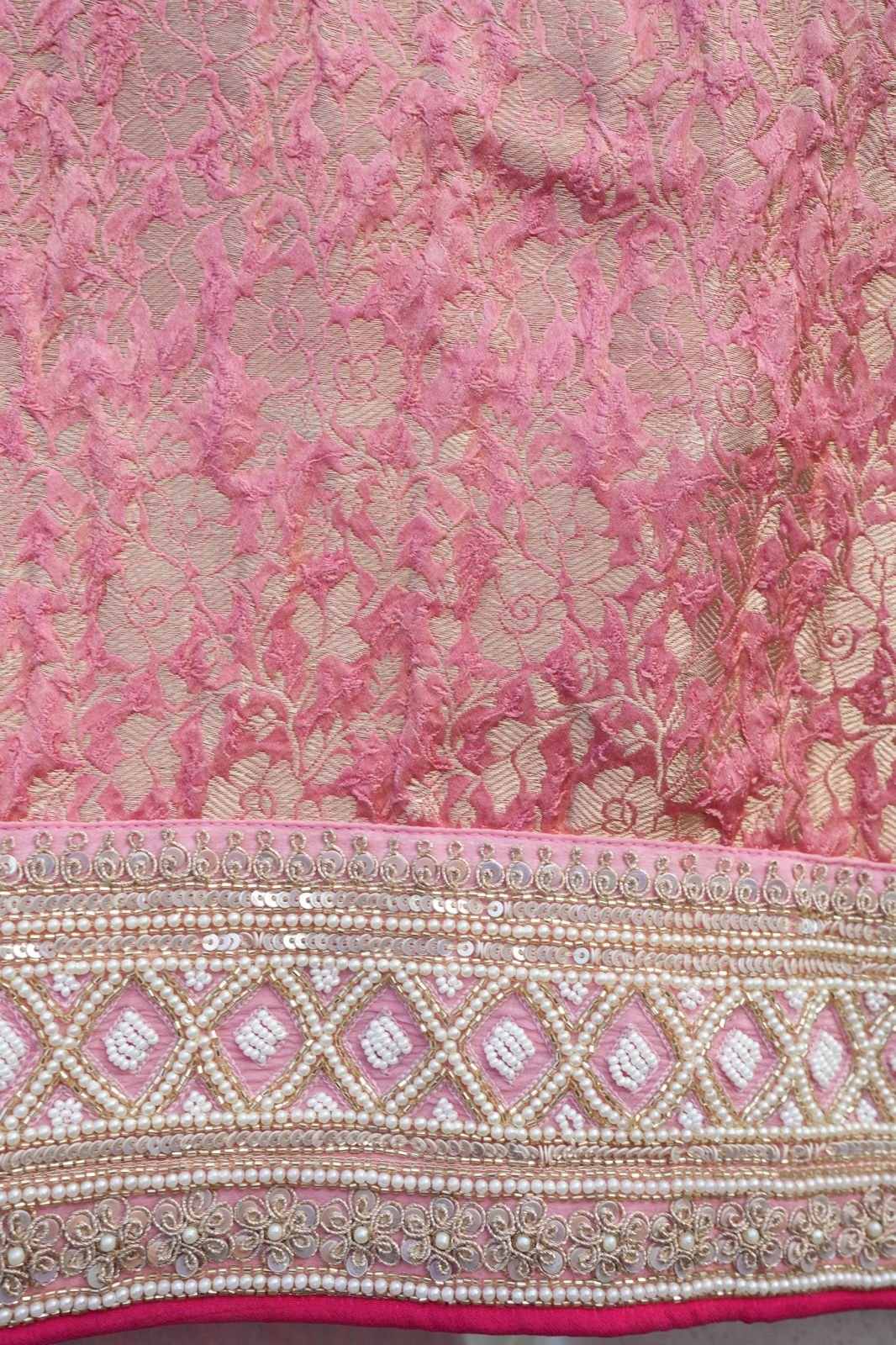Benarasi Tissue Organza Saree with Hand Embroidered Border
