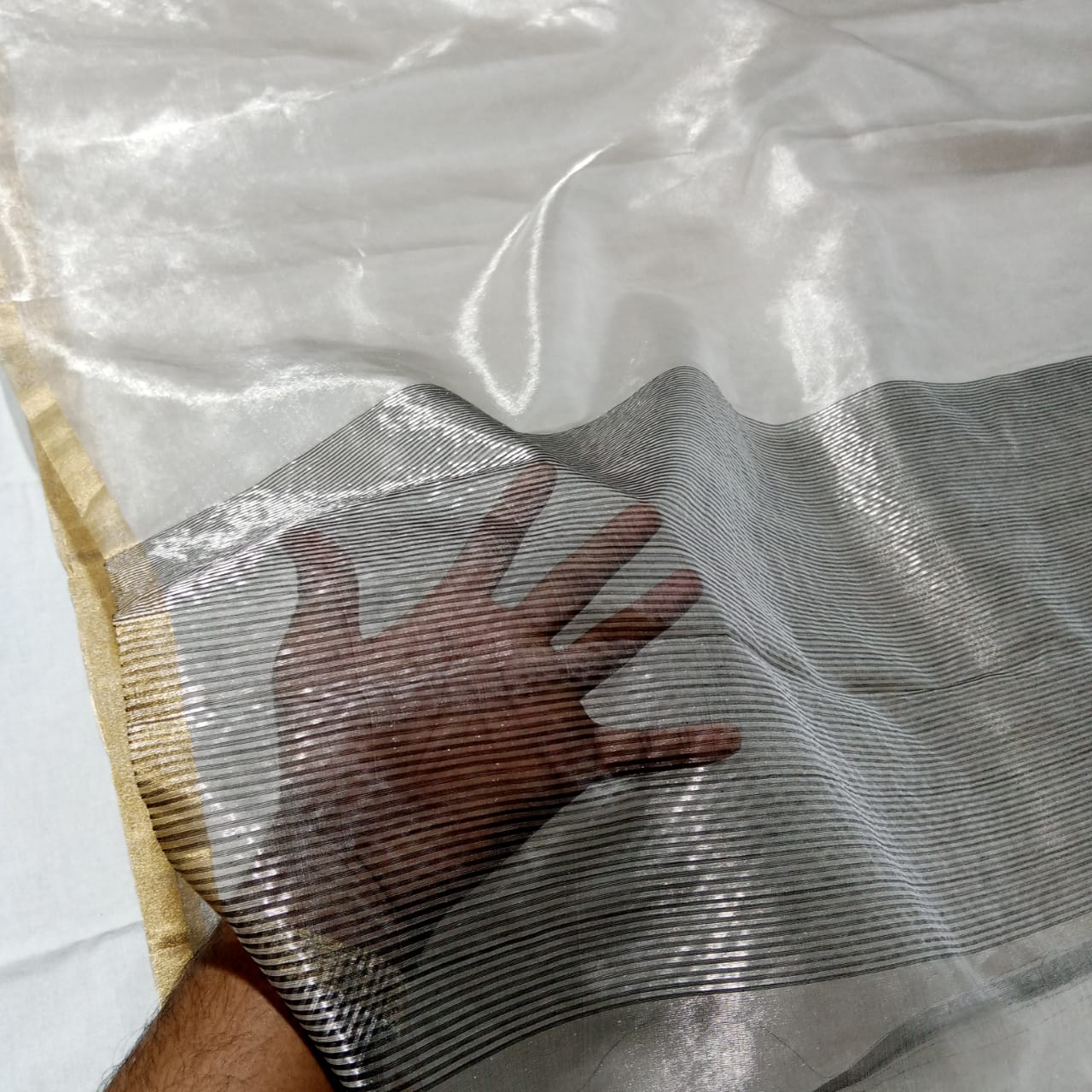 Dia Mirza Silver Chanderi Saree