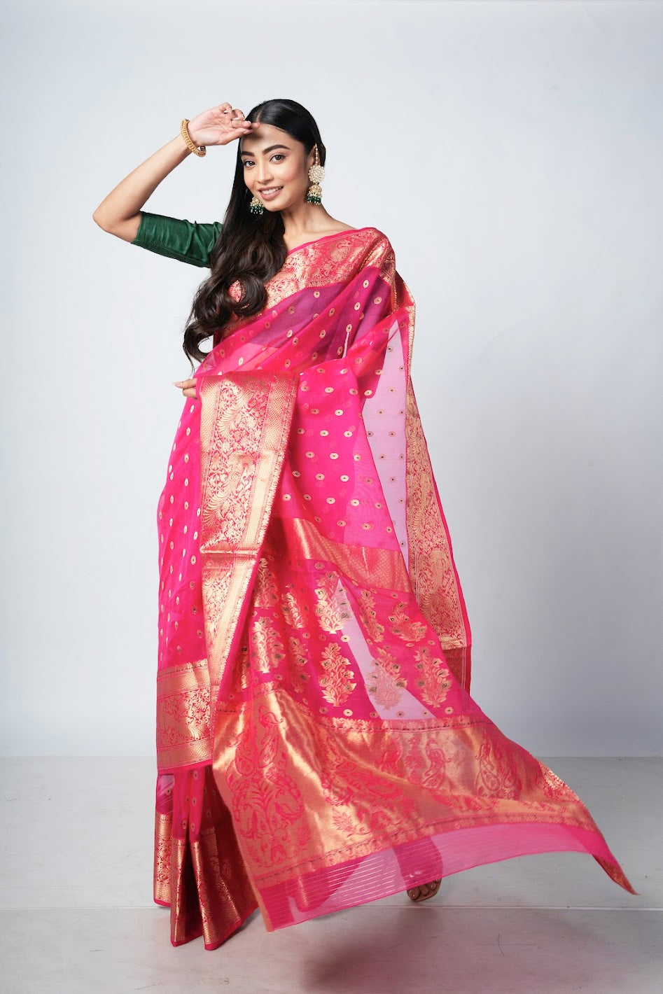 Out of this World Chanderi saree