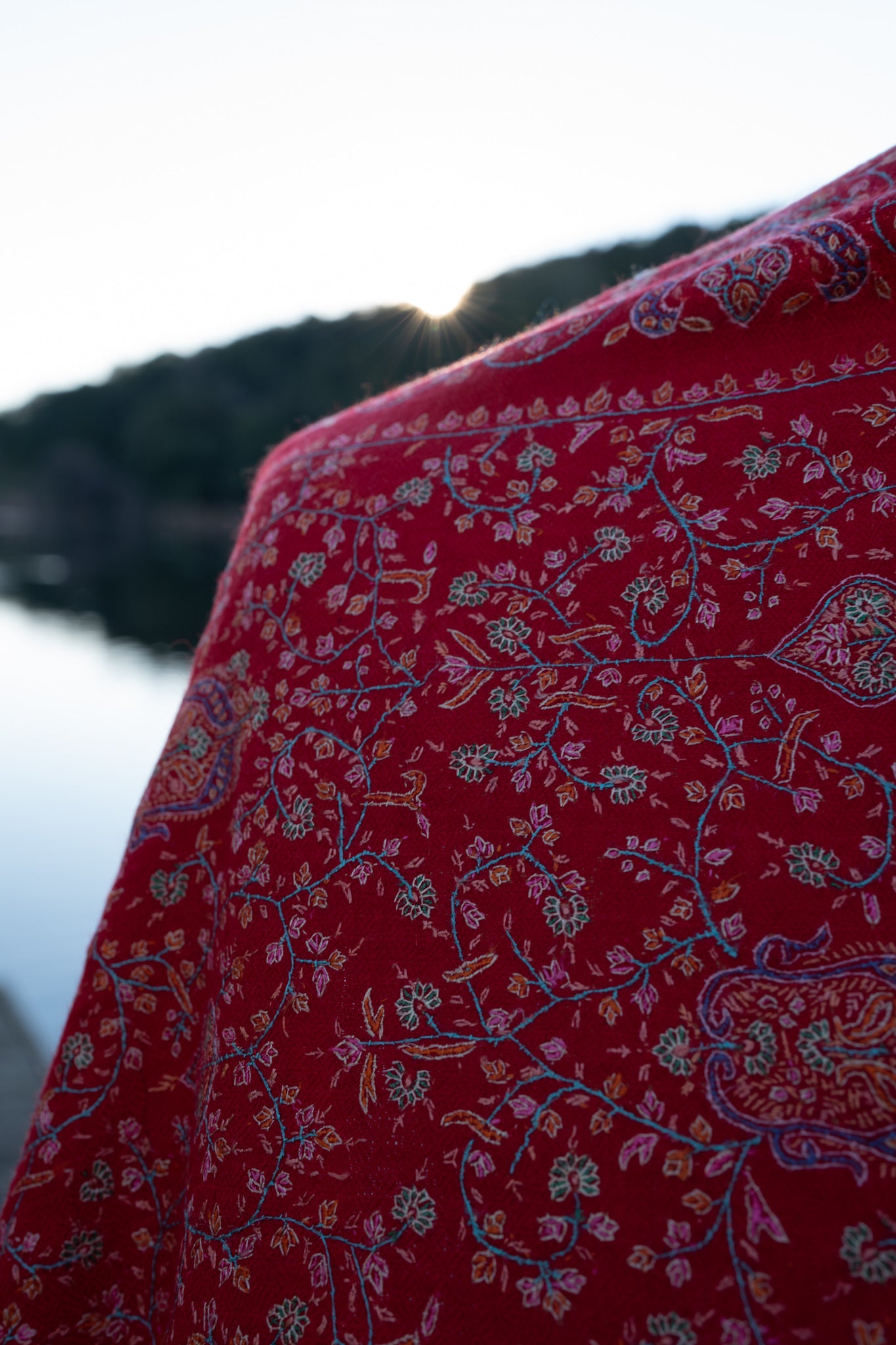 Red Masterpiece Pashmina Shawl