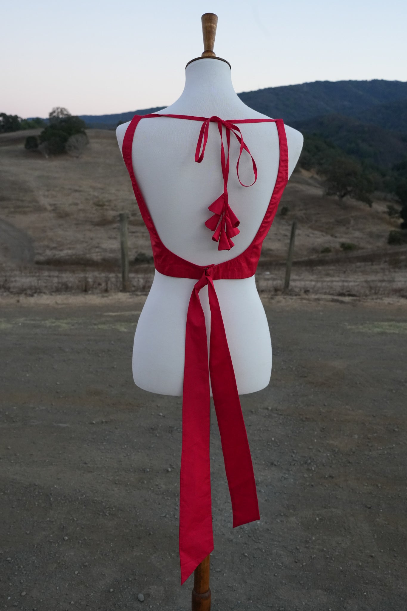 Red Silk Blouse