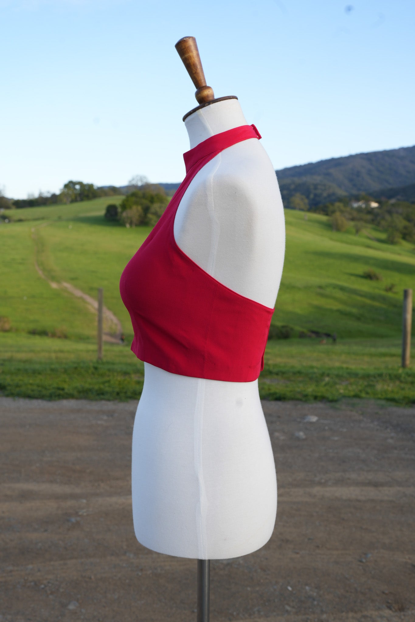 Deepika Red Halter Neck Couture Blouse