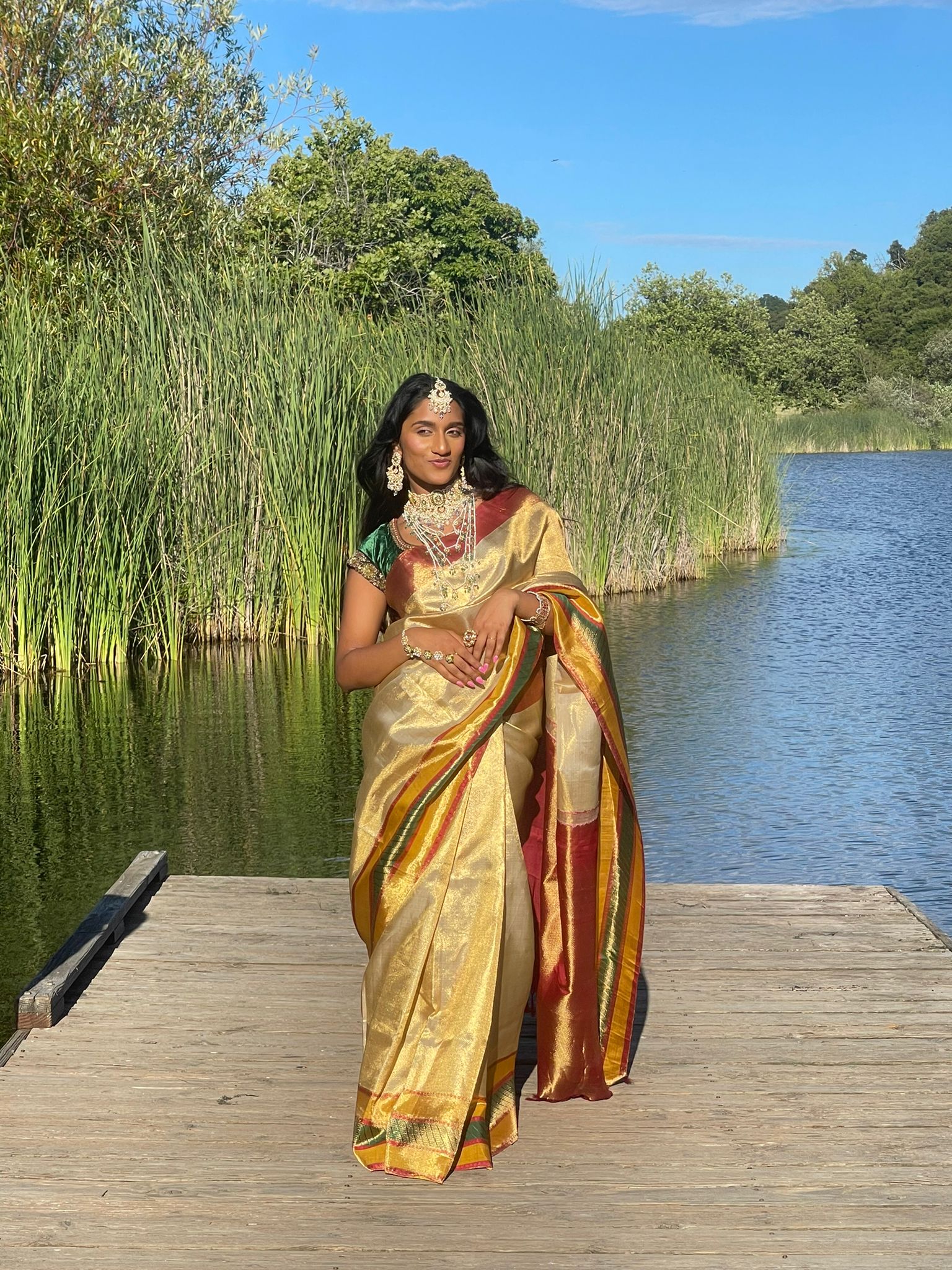 Gold tissue kanjiveram saree