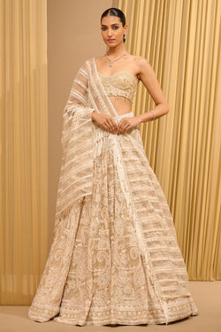 Tarun Tahiliani Lace Embroidered Paisley Lehenga