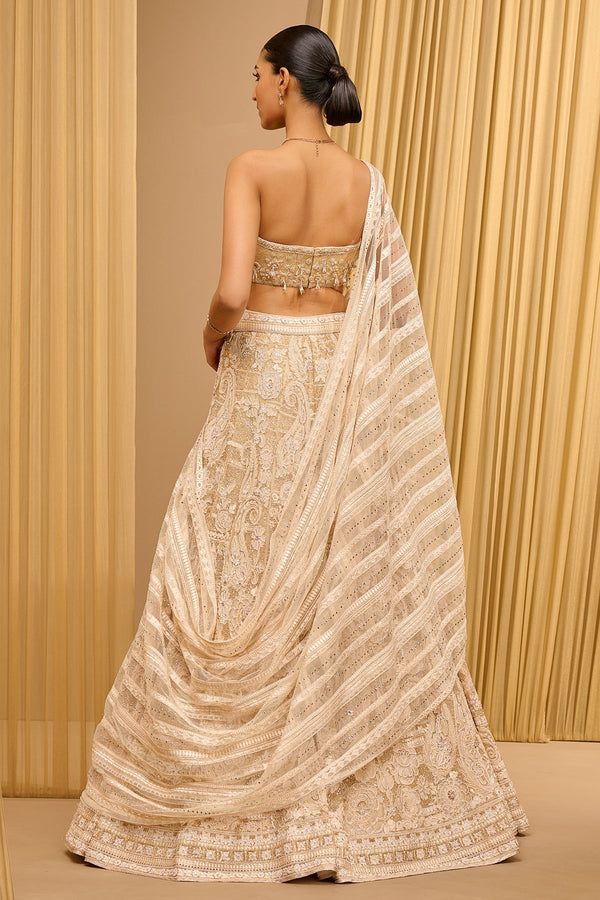 Tarun Tahiliani Lace Embroidered Paisley Lehenga