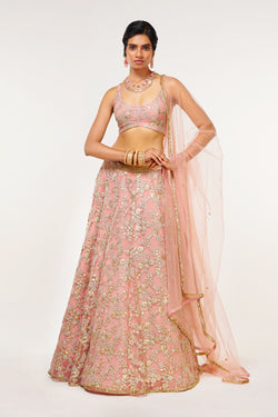 Dusty Pink Tulle Embroidered Lehenga Set