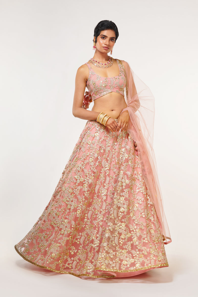 Dusty Pink Tulle Embroidered Lehenga Set