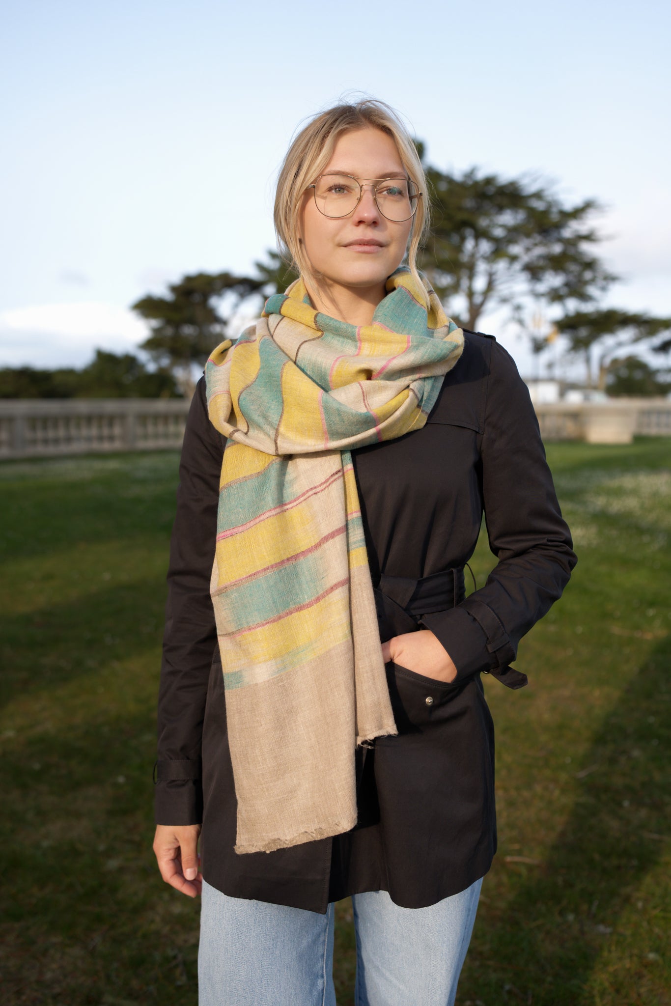 Shaded Pashmina shawl