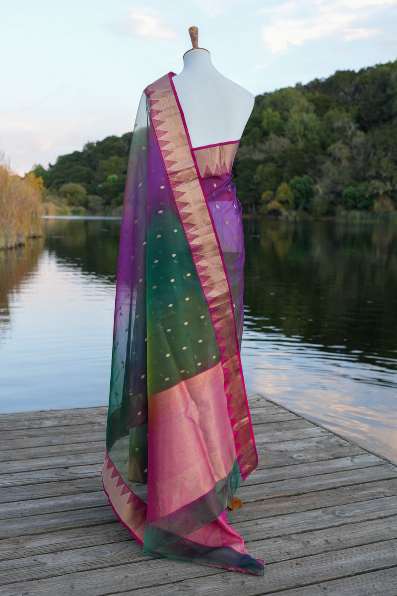 Peacock Chanderi Silk Saree