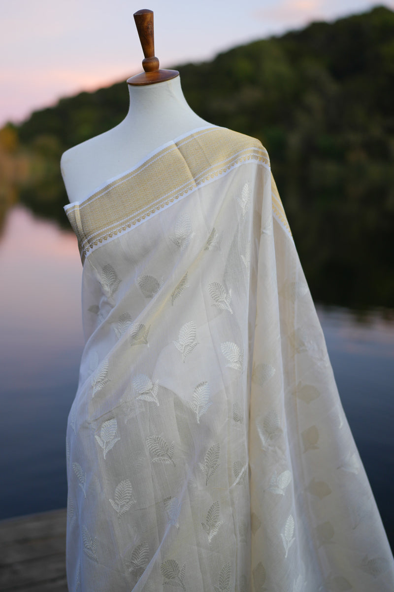 Kohinoor Chanderi Saree