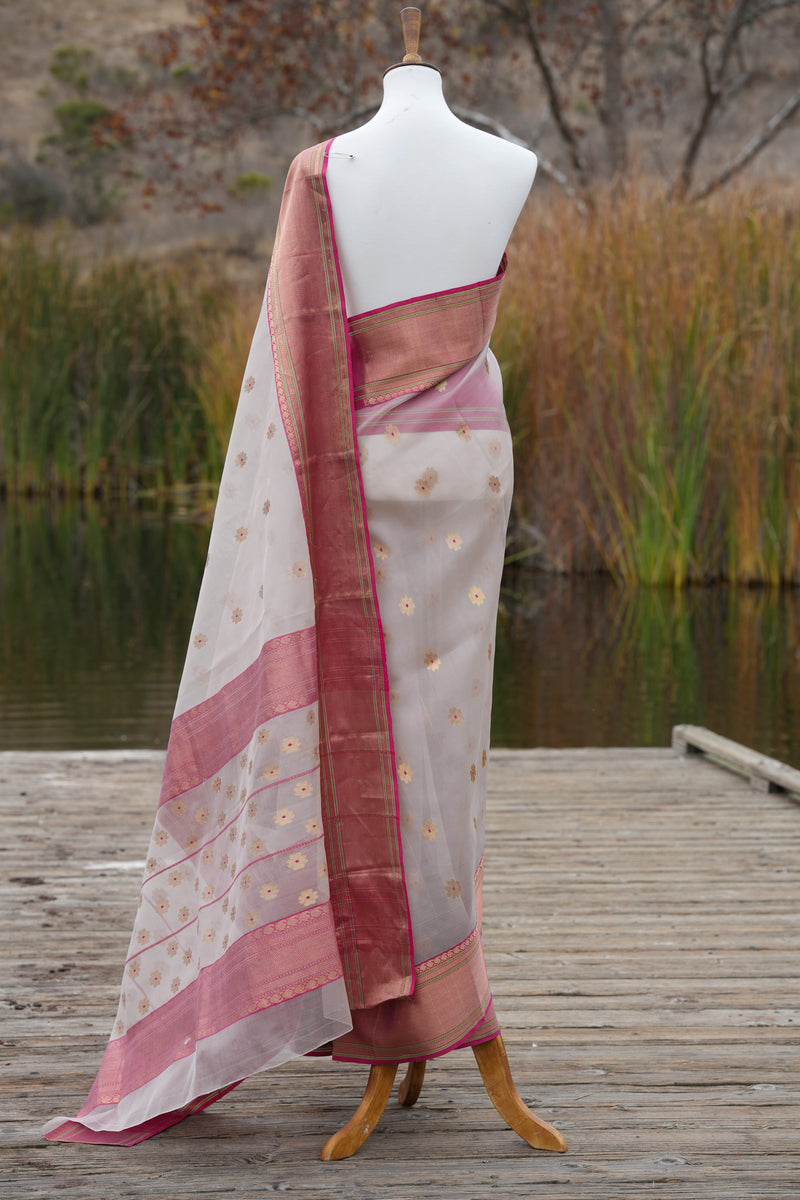 Light Grey Chanderi Sari