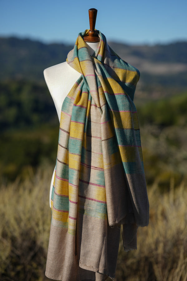 Shaded Pashmina shawl