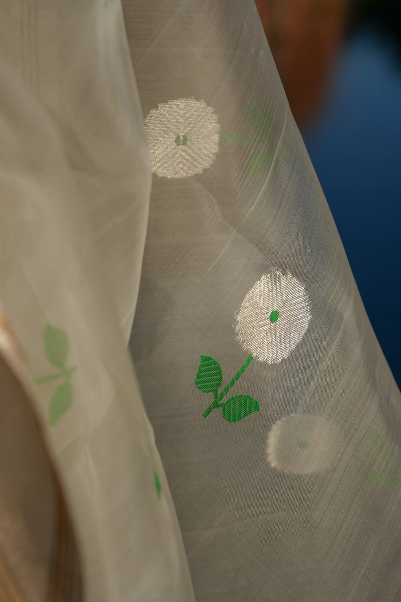 The Jui Chanderi Silk Saree