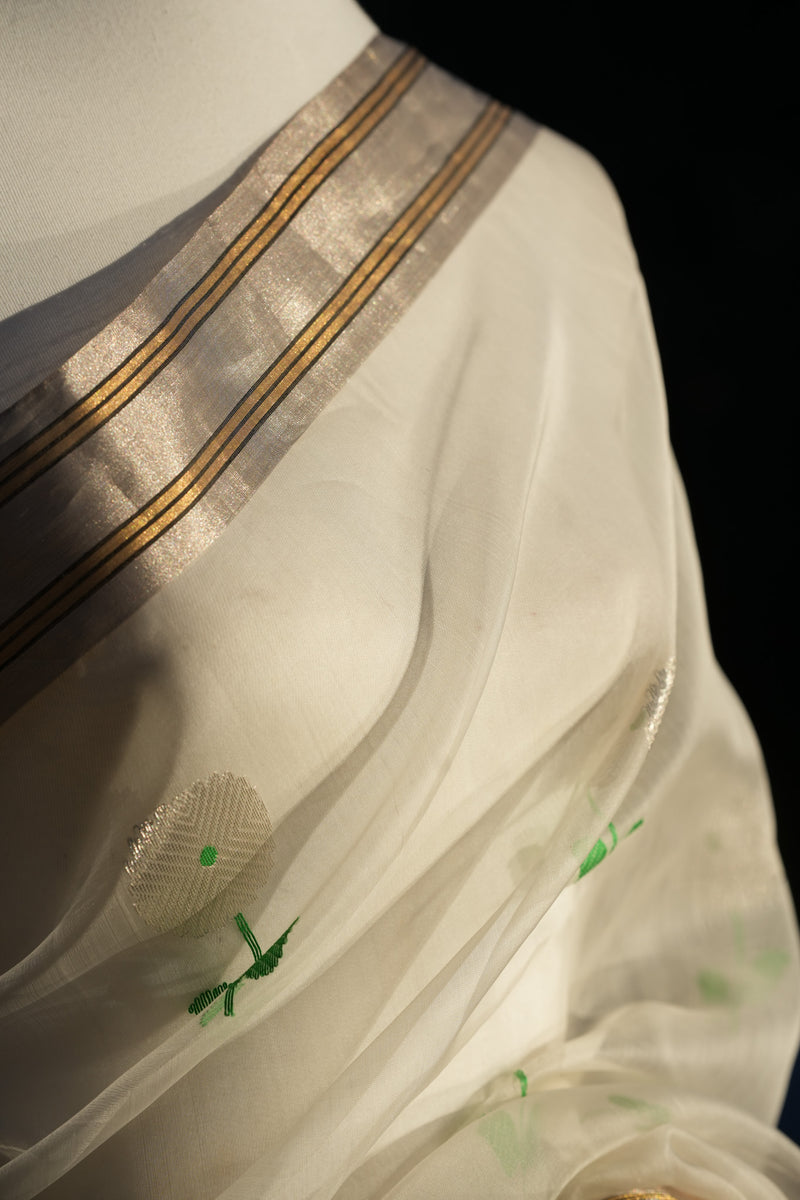 The Jui Chanderi Silk Saree