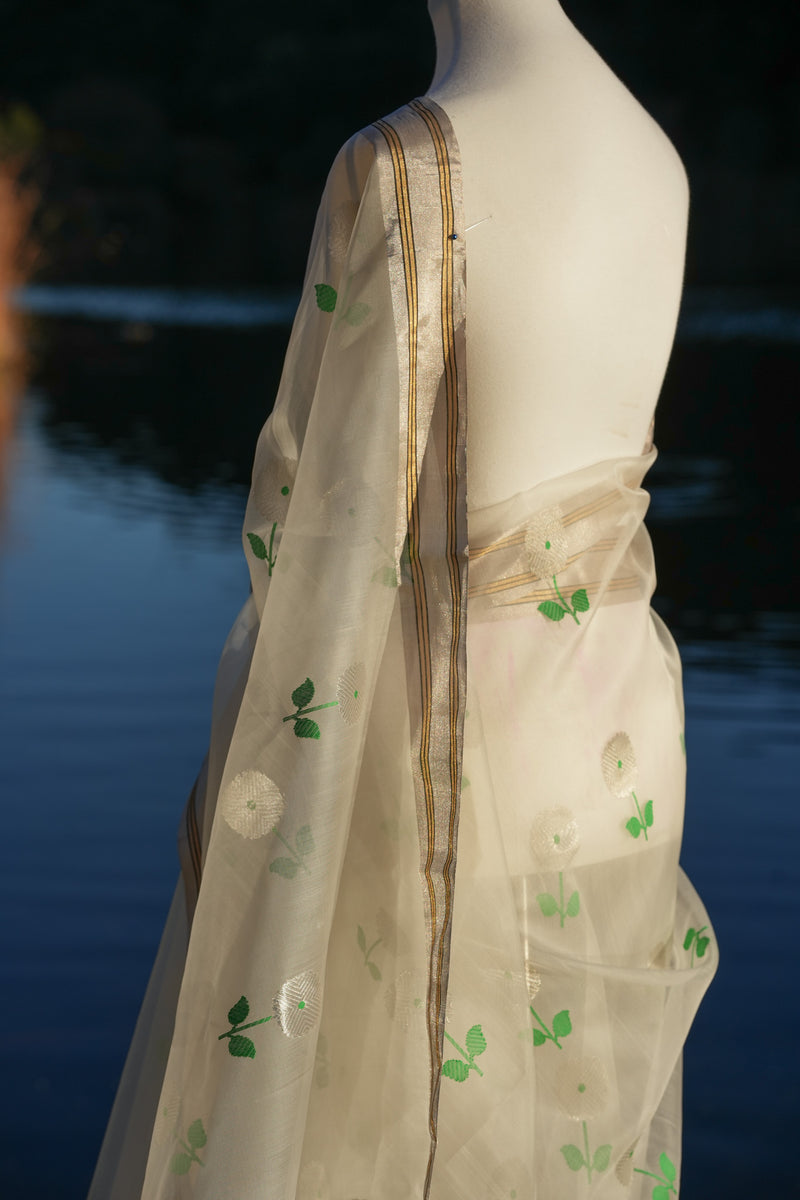 The Jui Chanderi Silk Saree