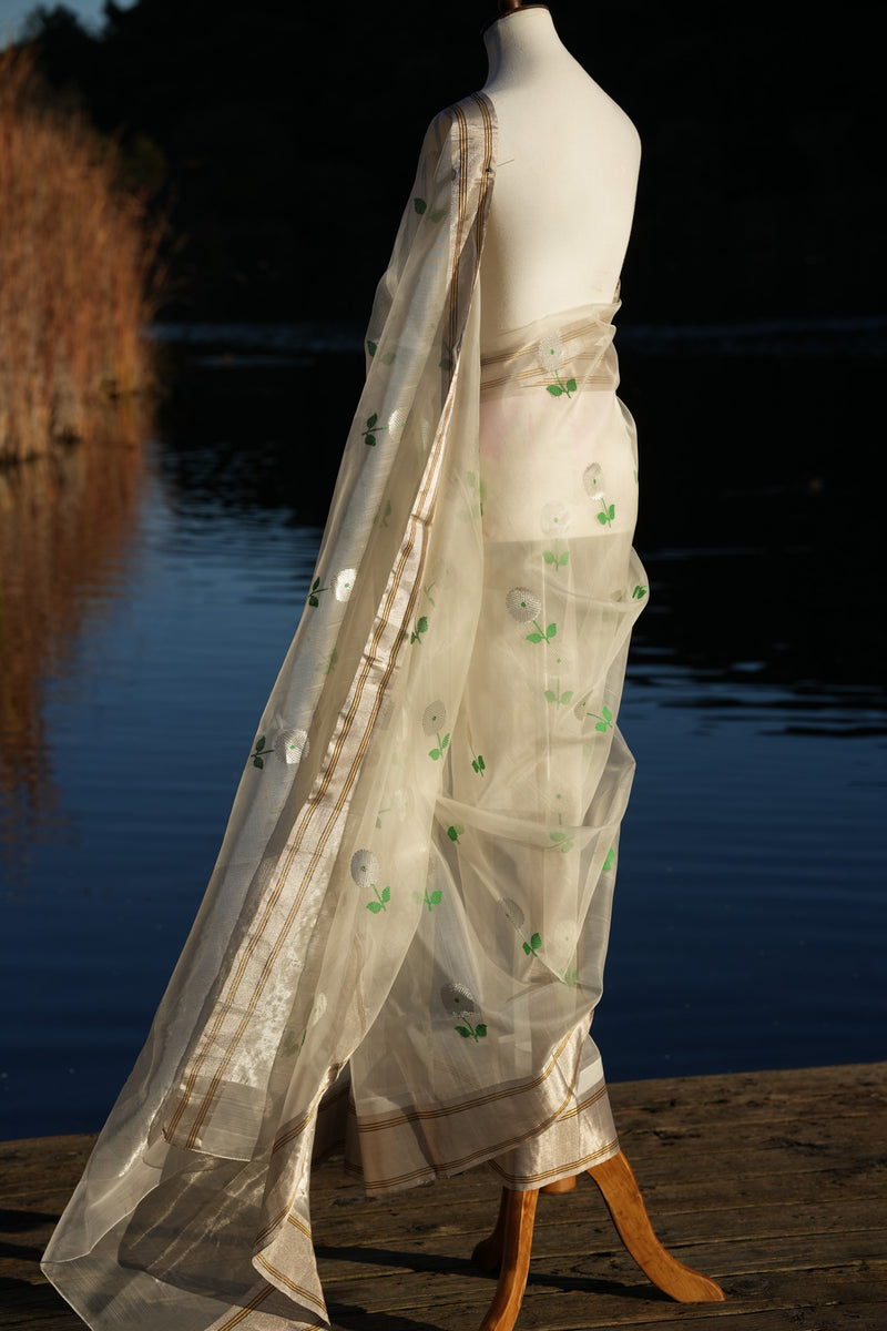 The Jui Chanderi Silk Saree