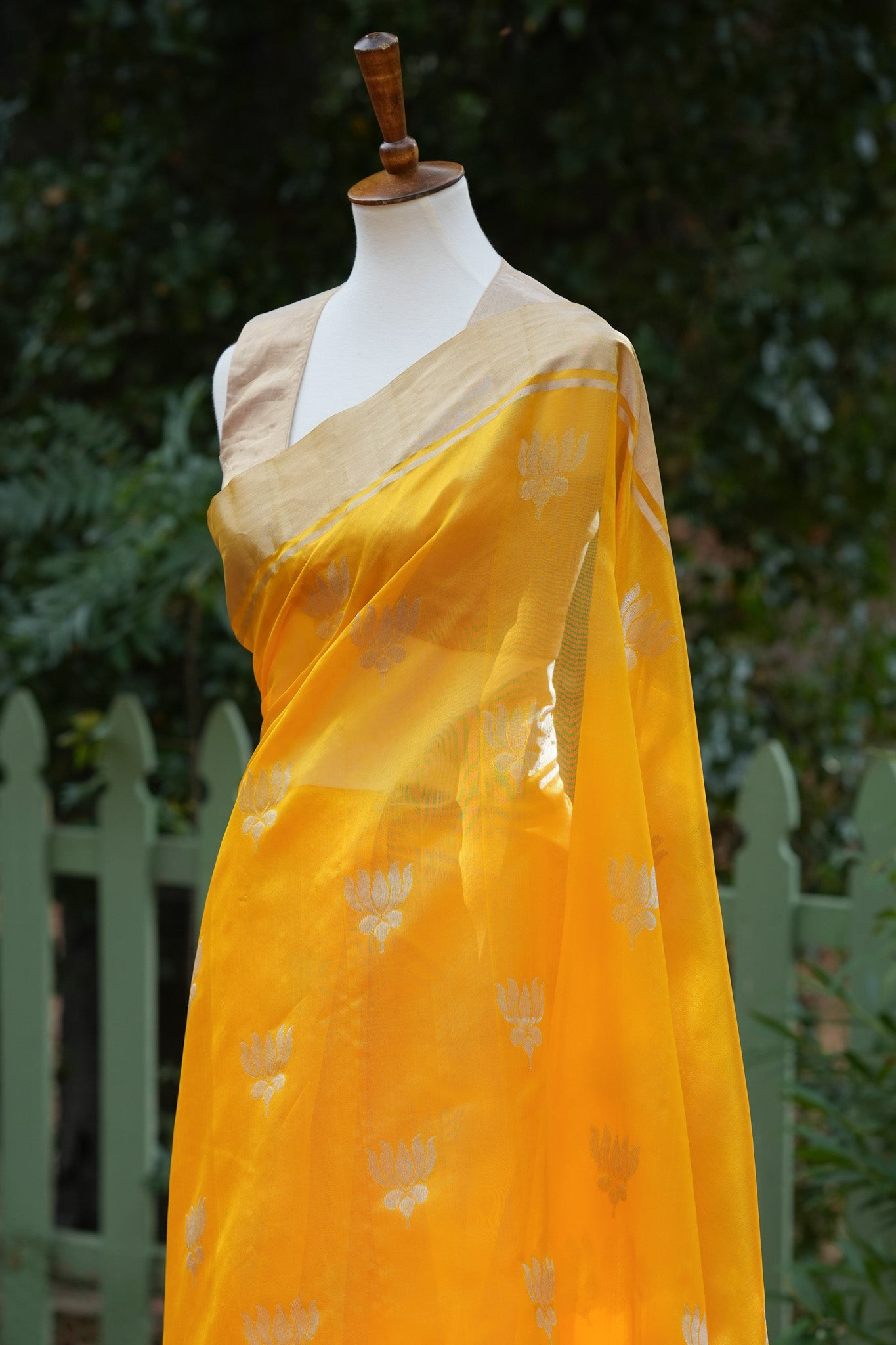 Yellow and Gold Lotus Chanderi saree