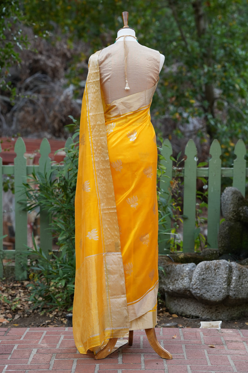 Yellow and Gold Lotus Chanderi saree