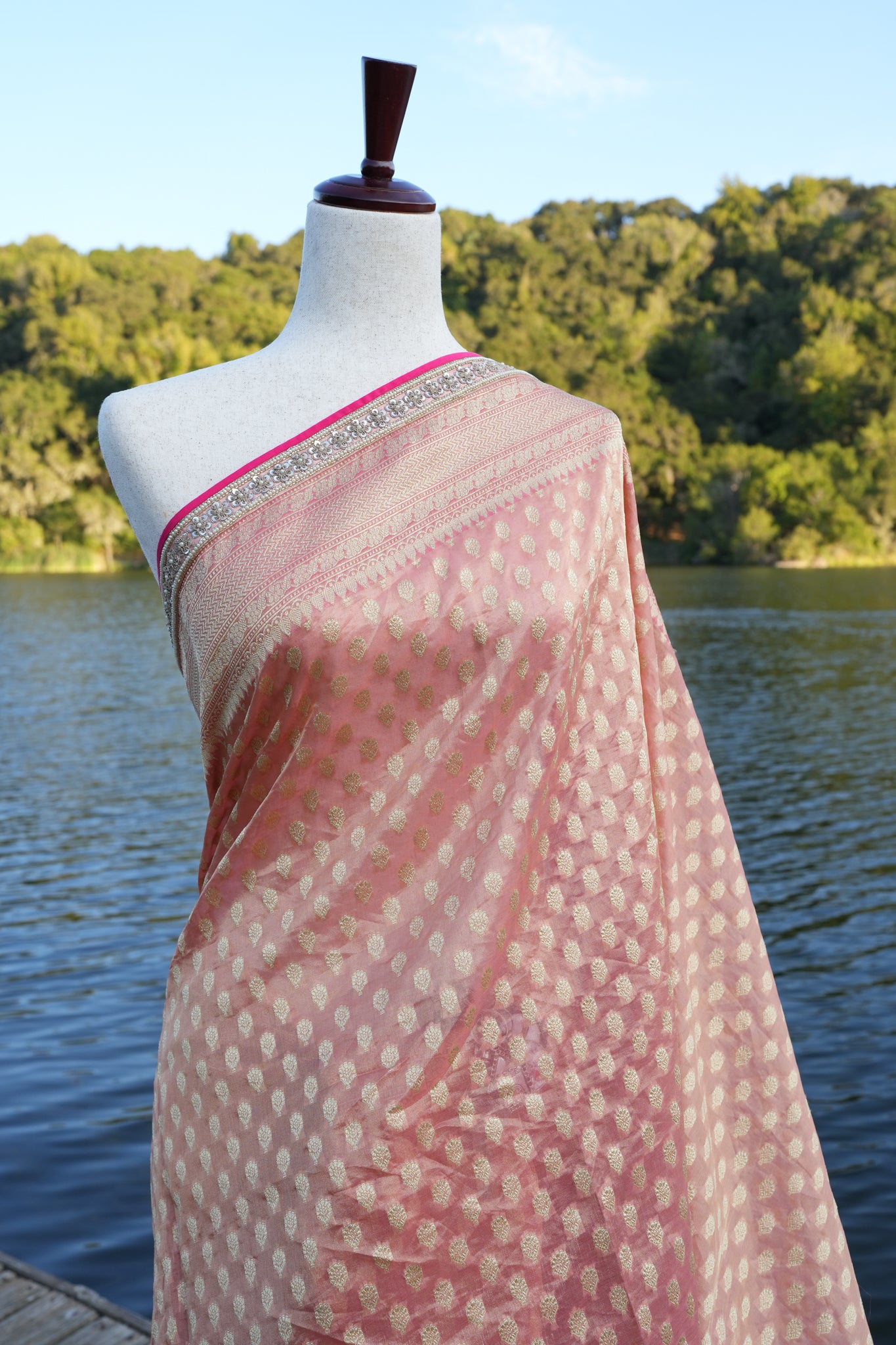 Benarasi Tissue Organza Saree with Hand Embroidered Border