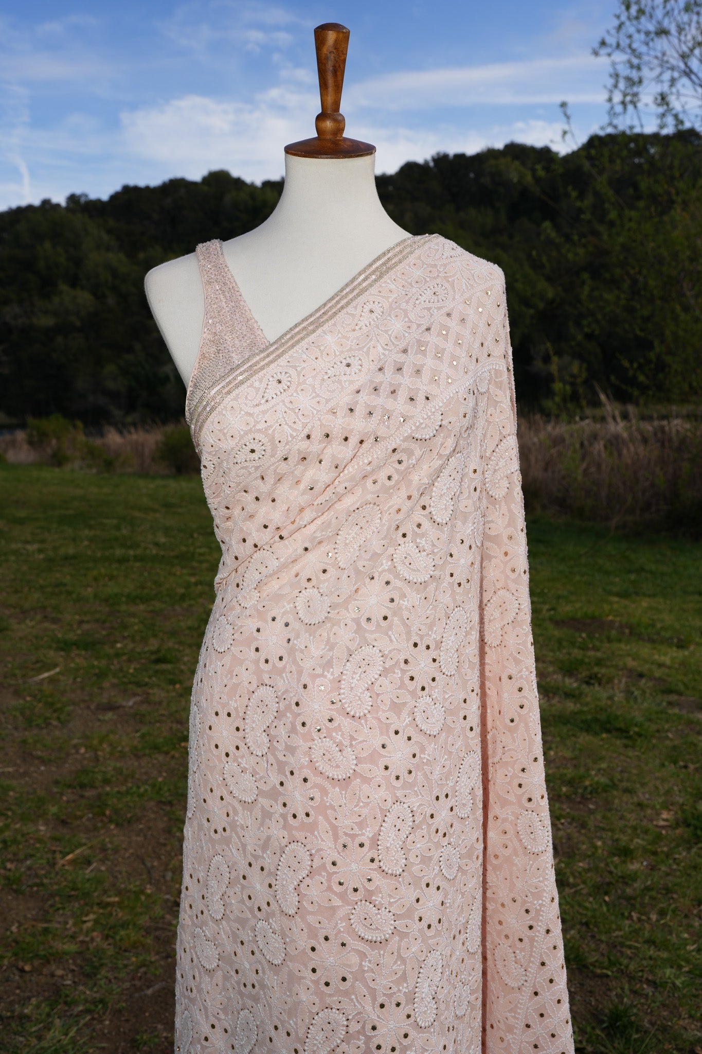 Pink Chikankari Saree