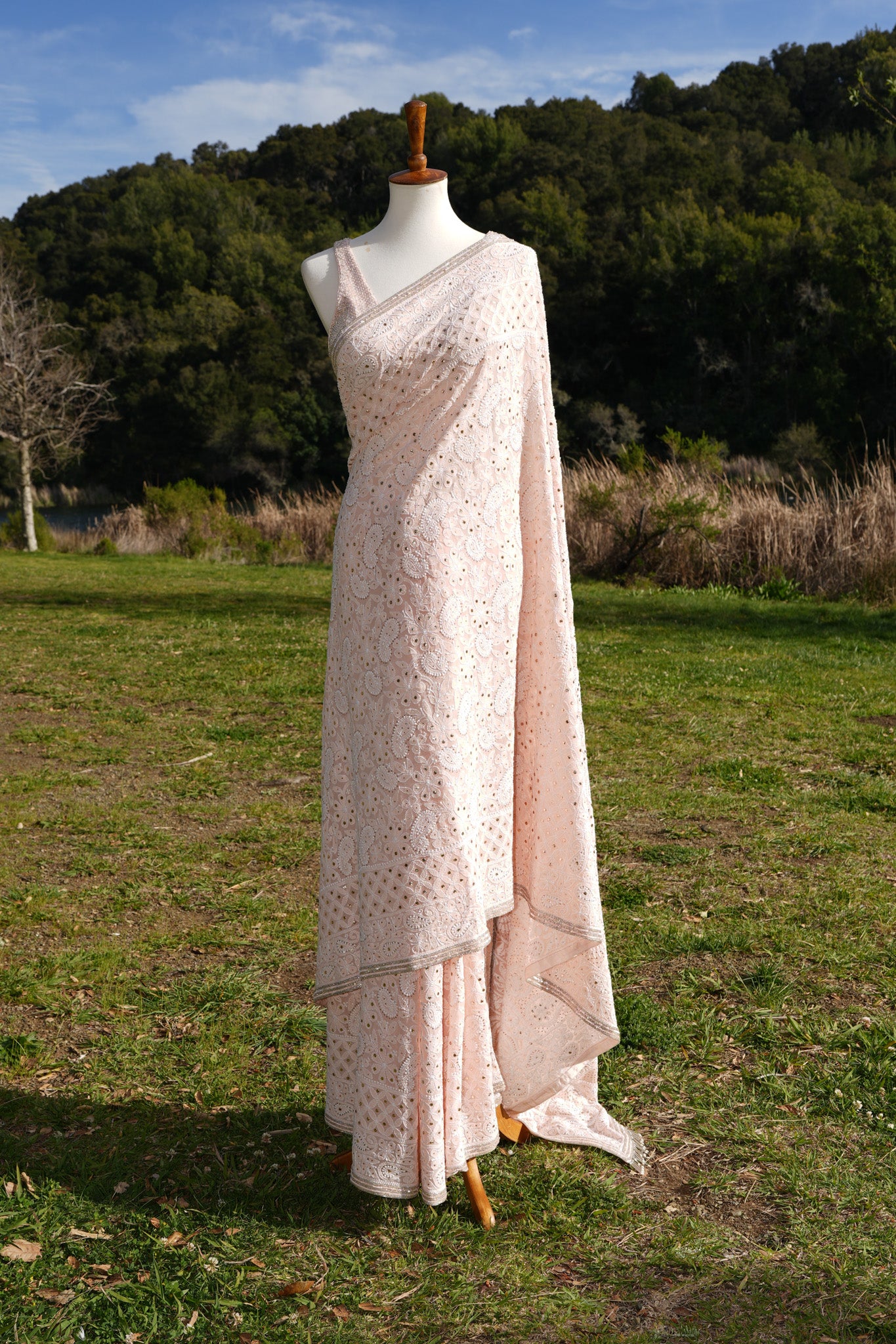 Pink Chikankari Saree