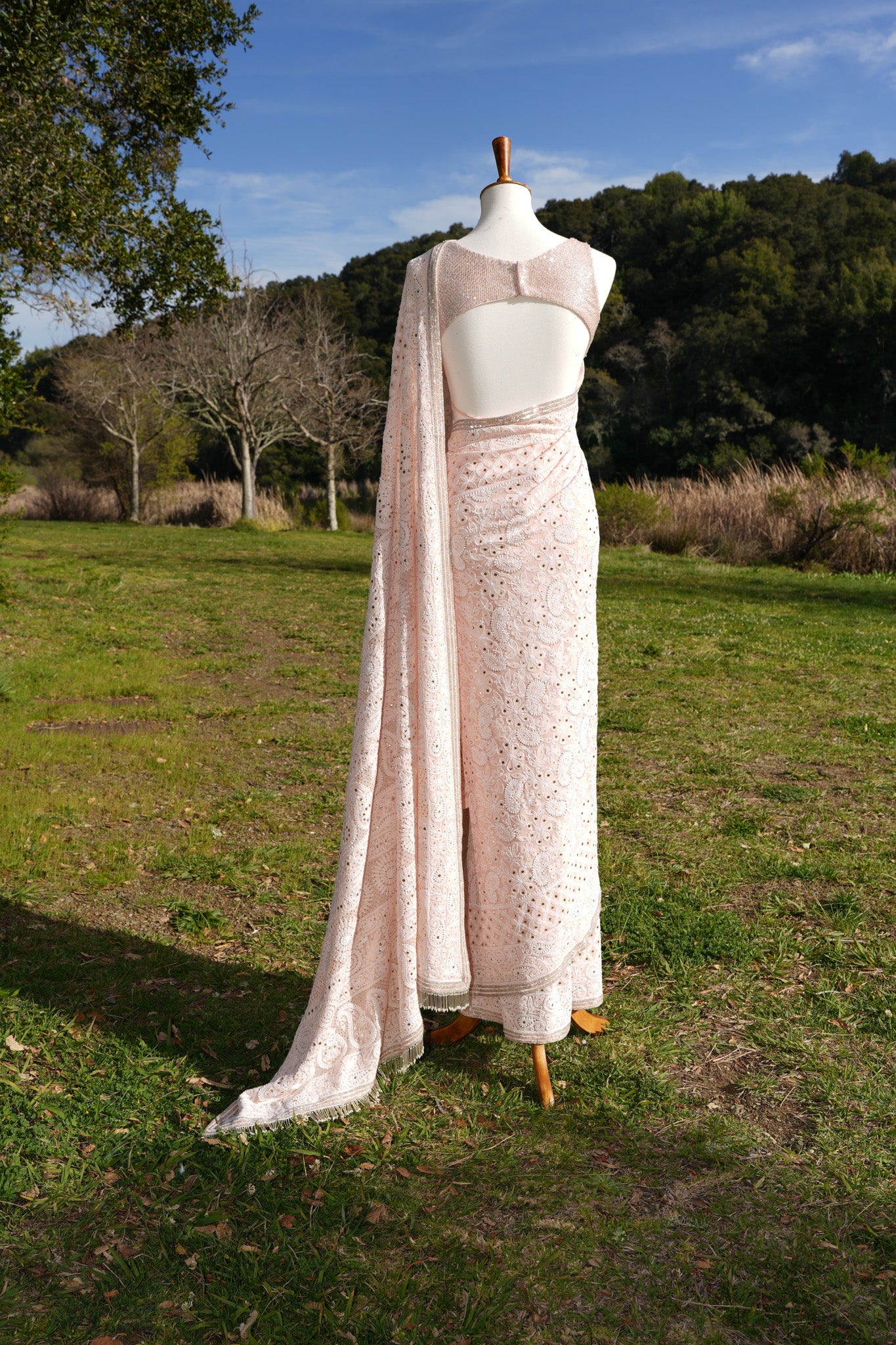 Pink Chikankari Saree