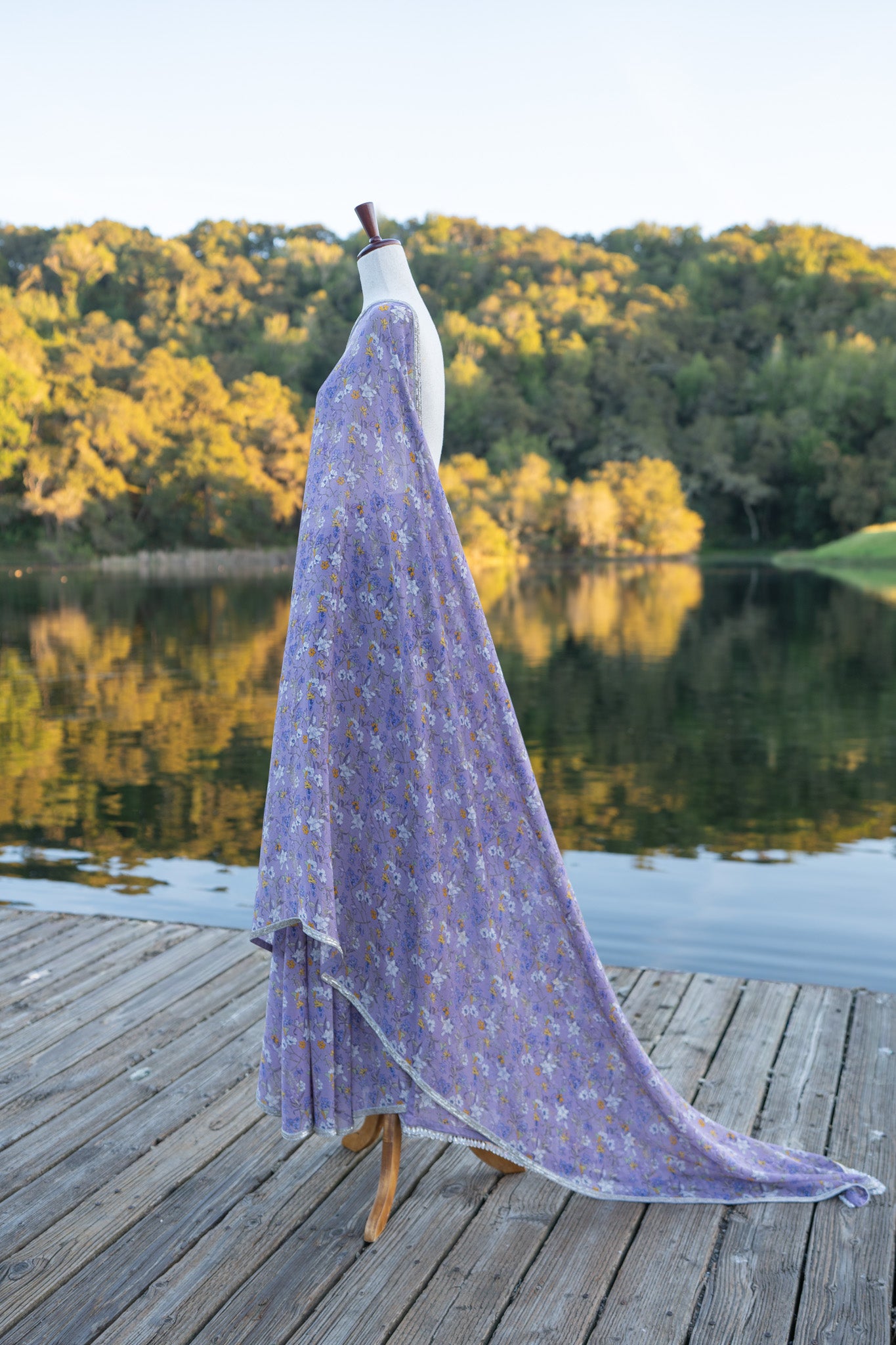 Printed chiffon saree with hand embroidered border