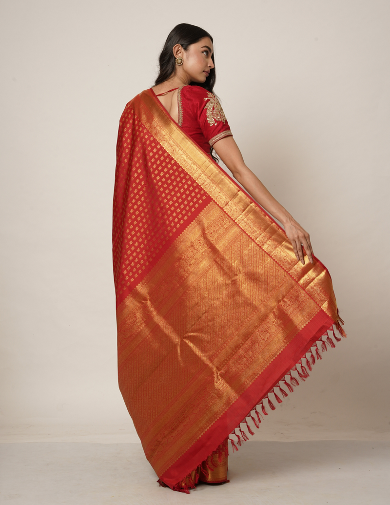 The Aishwarya Sari