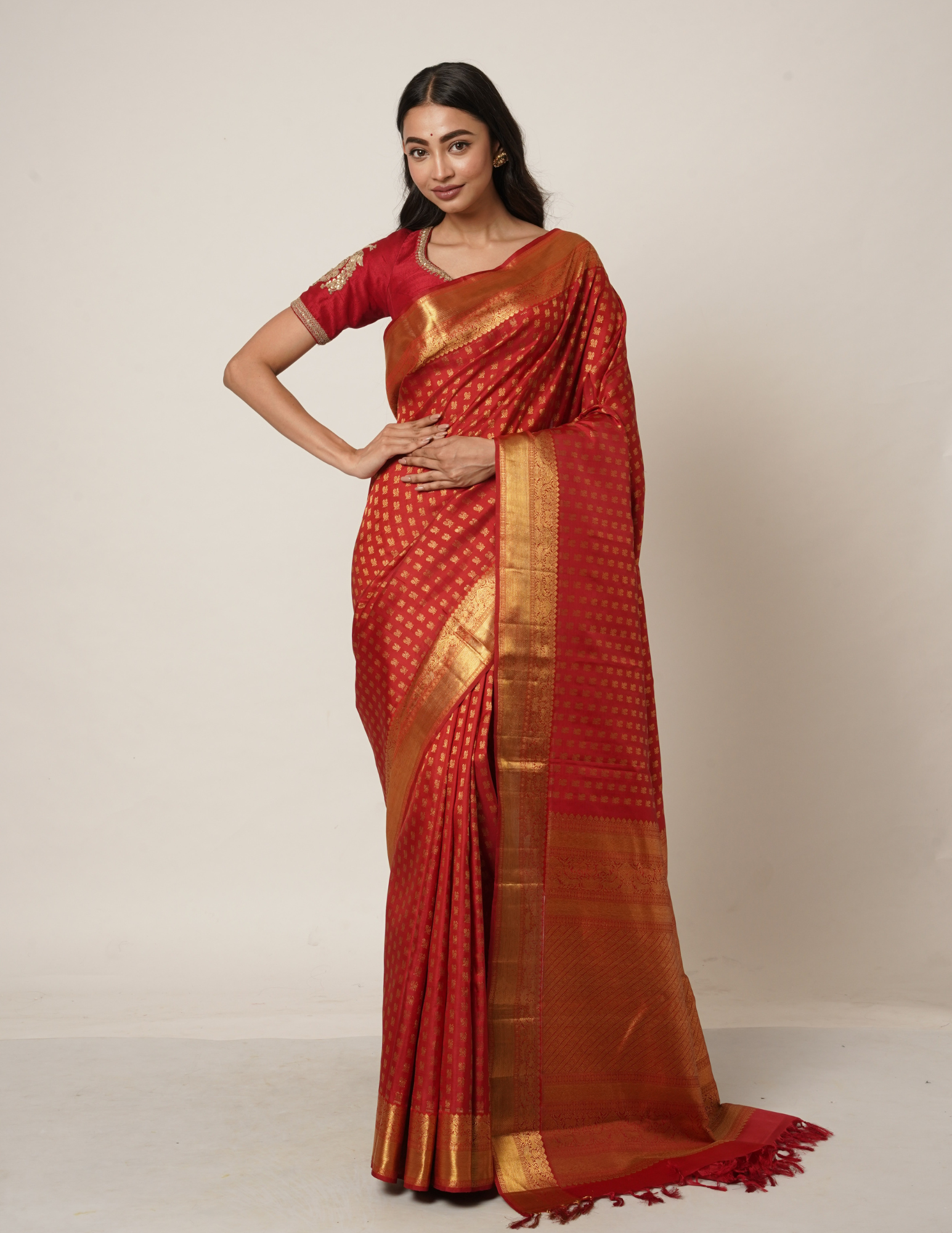 The Aishwarya Sari